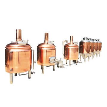 Red Copper Fermenting Equipment Pub Nanobrewery with 200L 300L 500L Fermenting Unitank